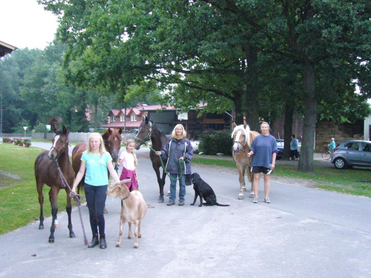 Ferienhof Drewes Ranch Wietzendorf Eksteriør billede