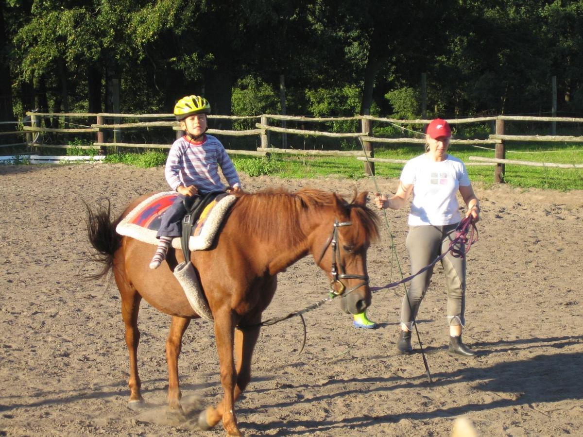 Ferienhof Drewes Ranch Wietzendorf Eksteriør billede